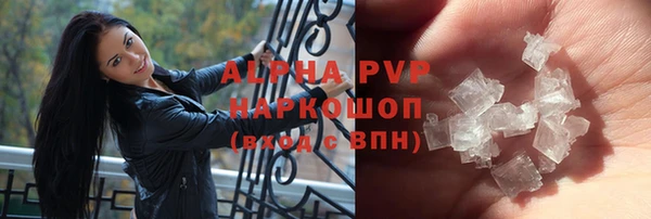 крисы Новокубанск