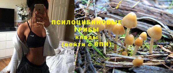 герыч Новозыбков