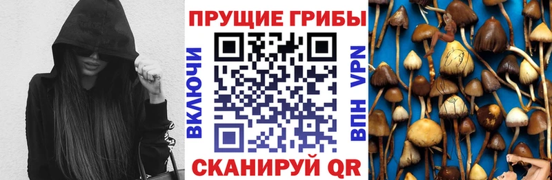 darknet телеграм дарнет шоп Нижняя Салда Галлюциногенные грибы мухоморы